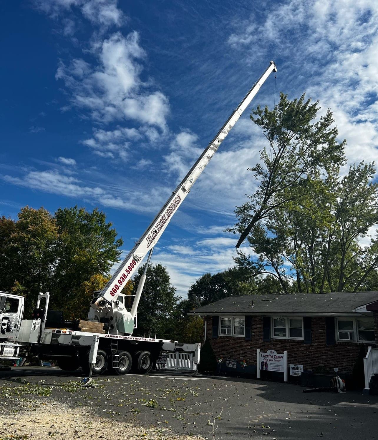 Crane extended over a large tree next to a brick building