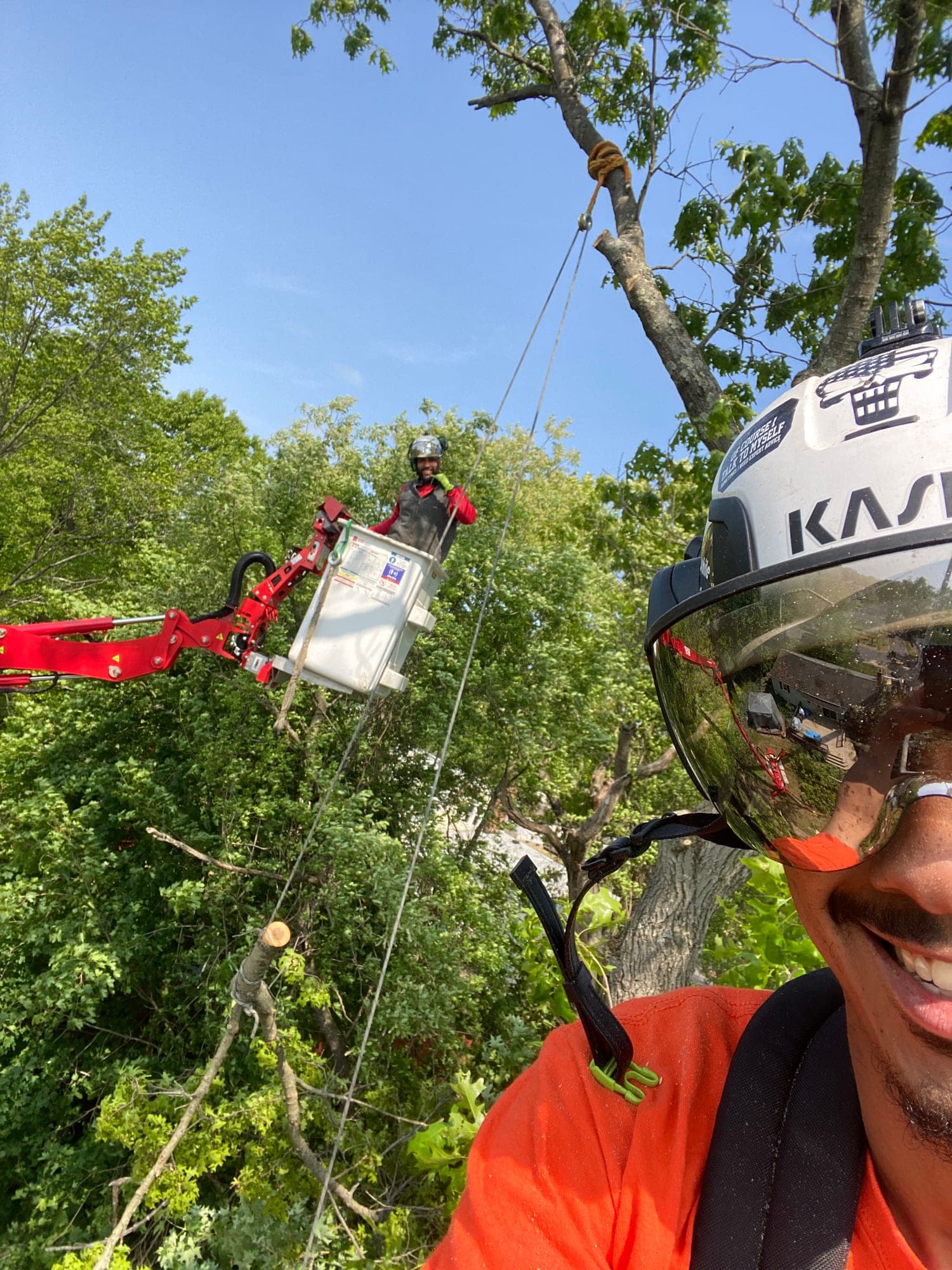 Climber high in a tree with the spider lift behind