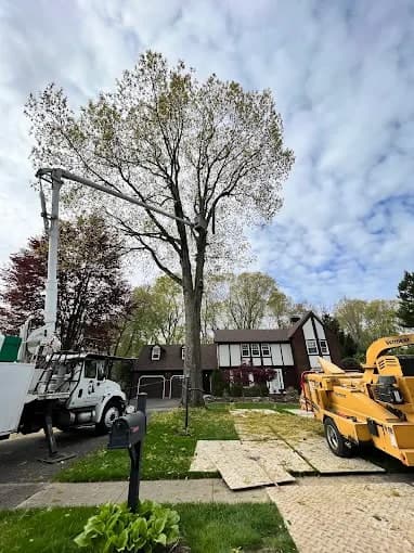 Bucket truck and chipper on ground mats in a front yard