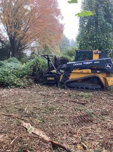 Tracked forestry mulcher clearing brush on a lot