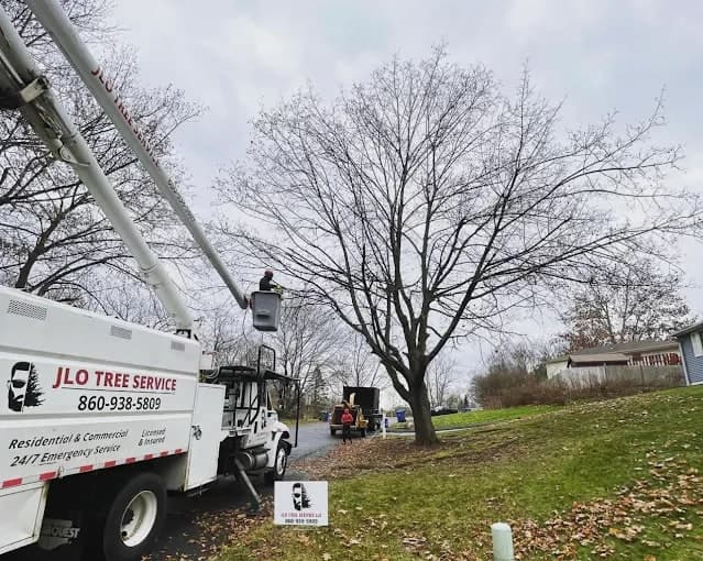 JLO bucket truck lettered “24/7 Emergency Service” on a front-yard job