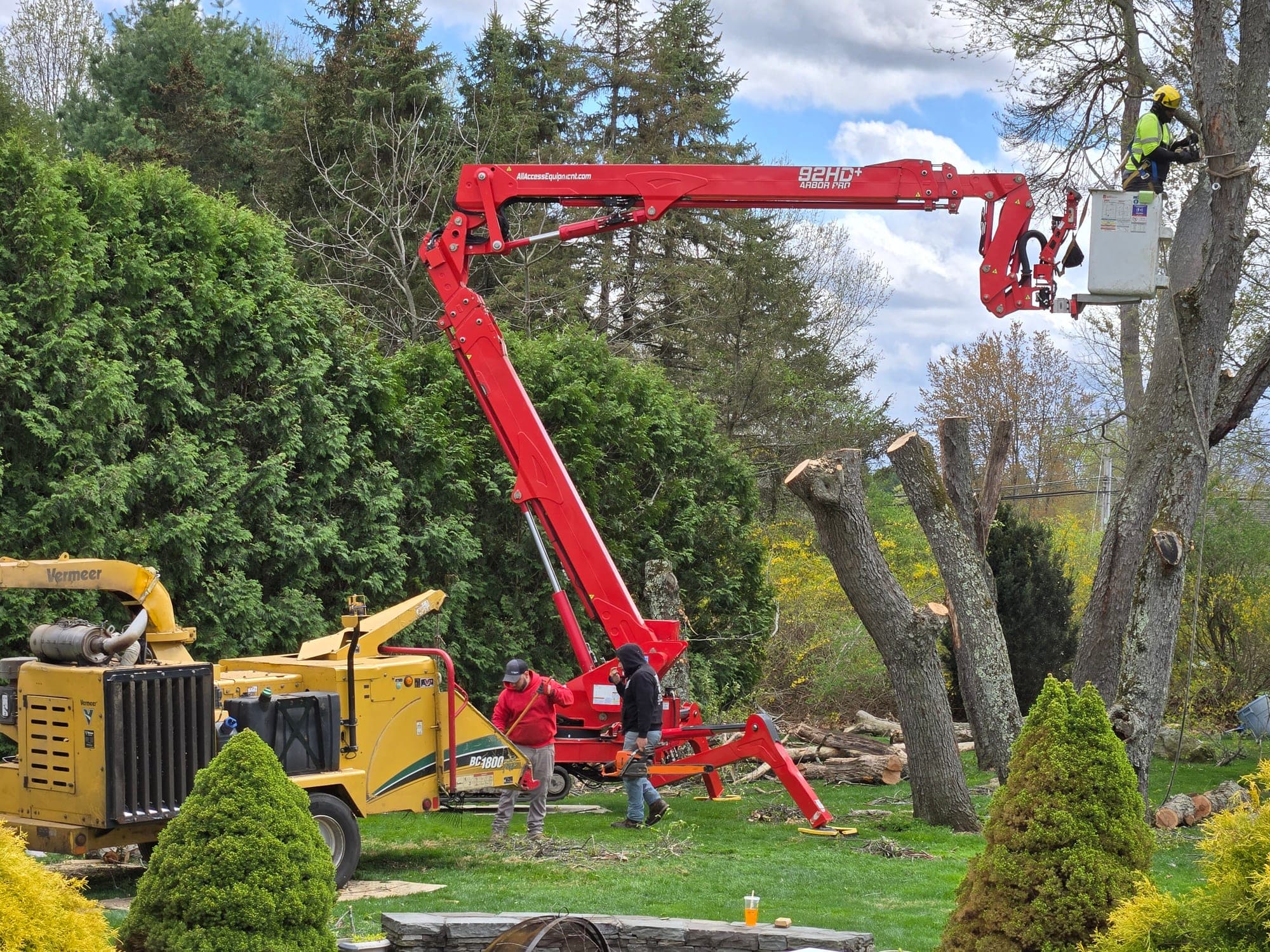 Red spider lift with a climber in the bucket beside a tree, wood chipper on the lawn