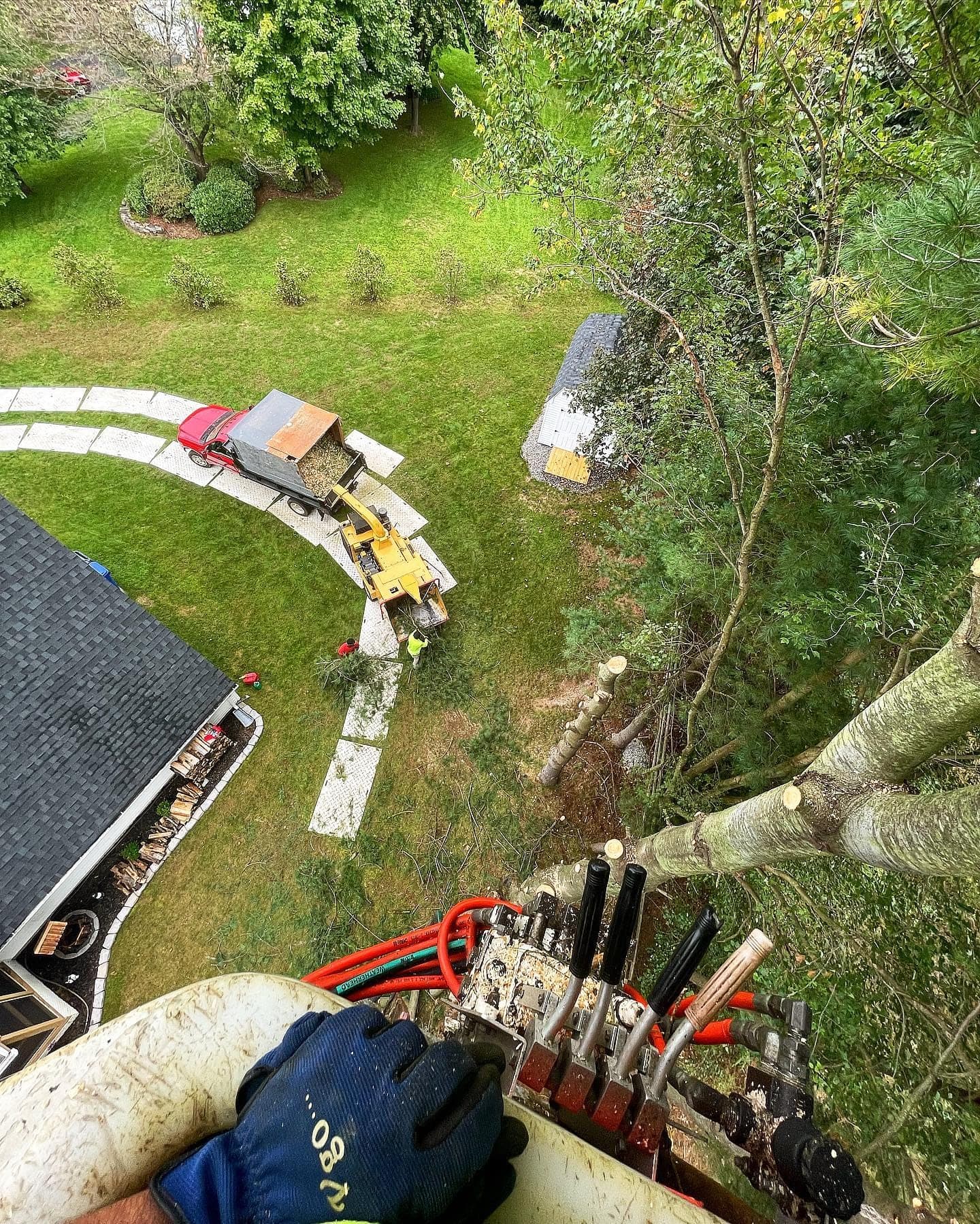 View from the lift controls high above a backyard tree job