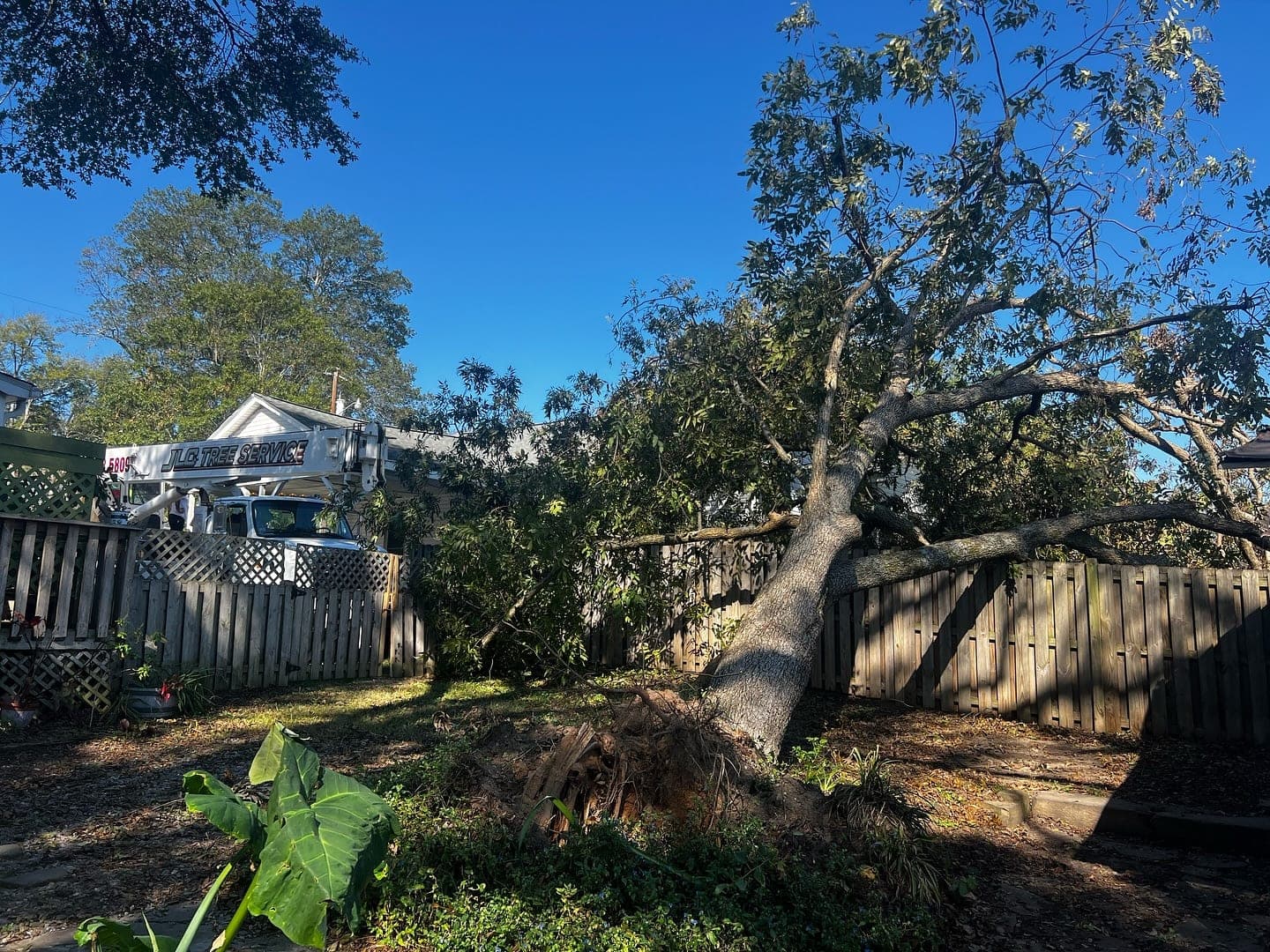 Storm-damaged tree fallen across a backyard fence
