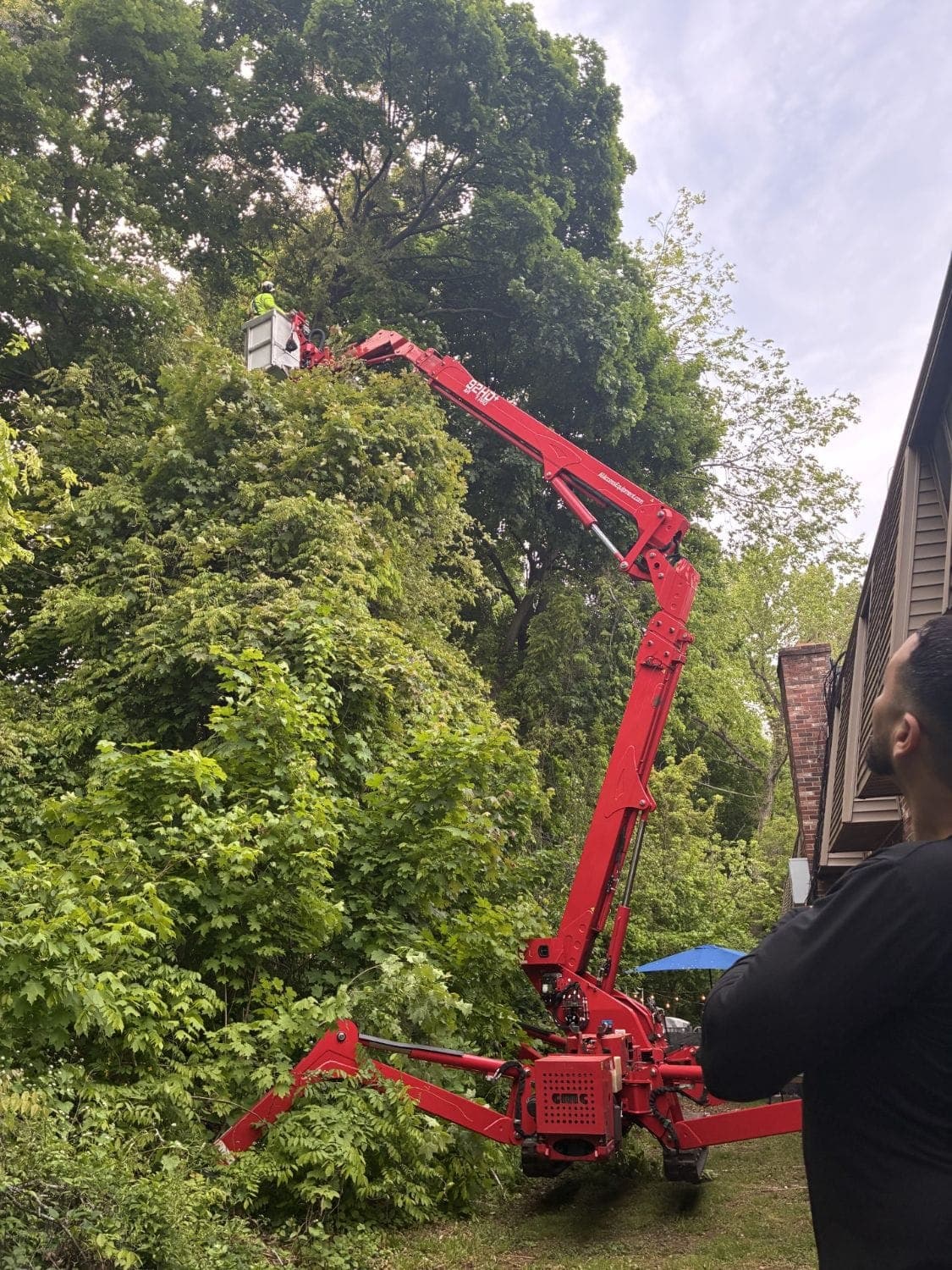 JLO's red spider lift reaching high into a tall tree in New Britain with Julian in the bucket, as onlookers watch
