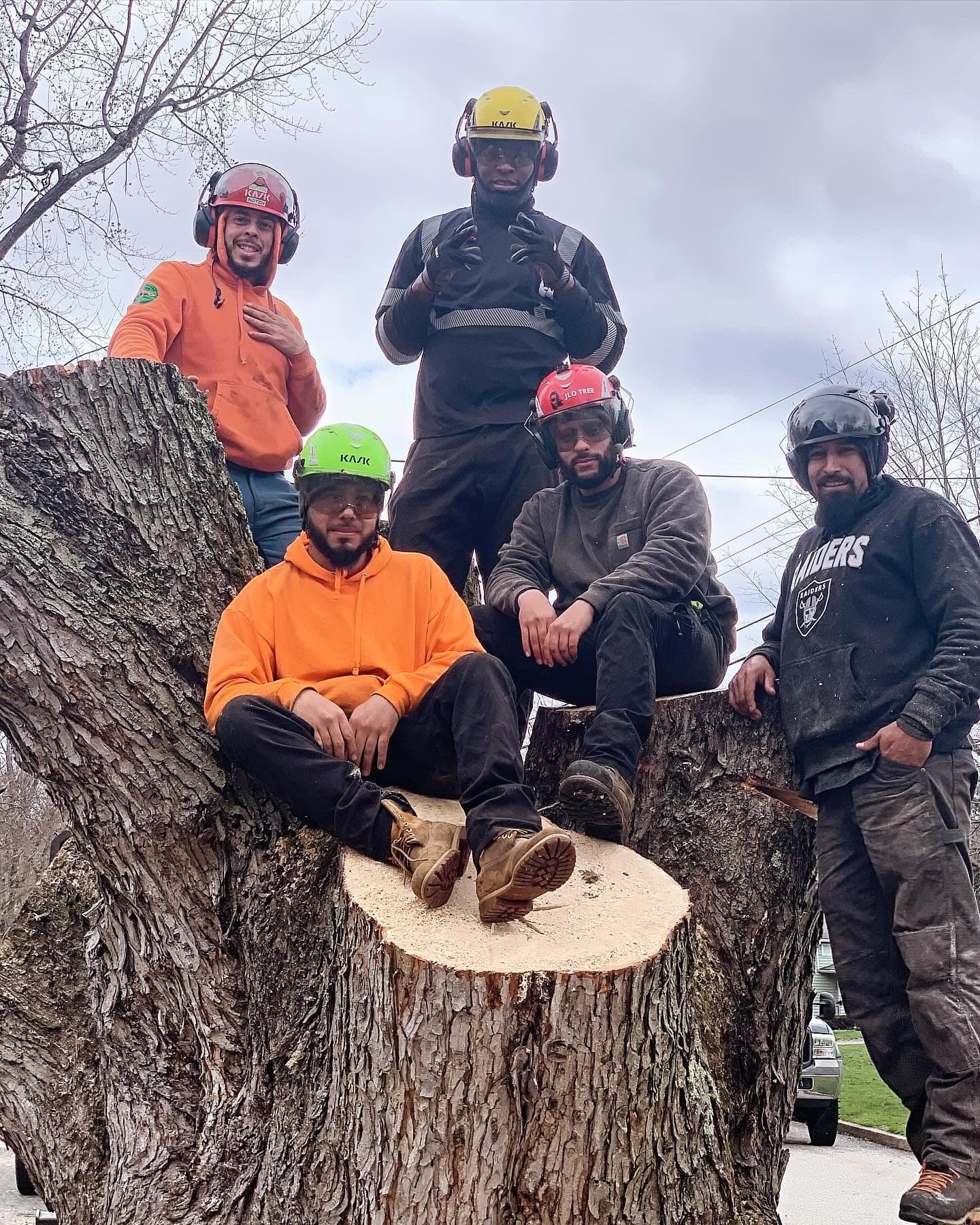 JLO Tree Service crew sitting on a freshly cut stump