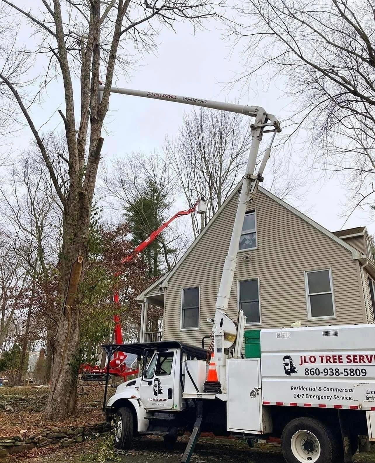 JLO Tree Service bucket truck with its boom raised beside a house, a red spider lift working behind it