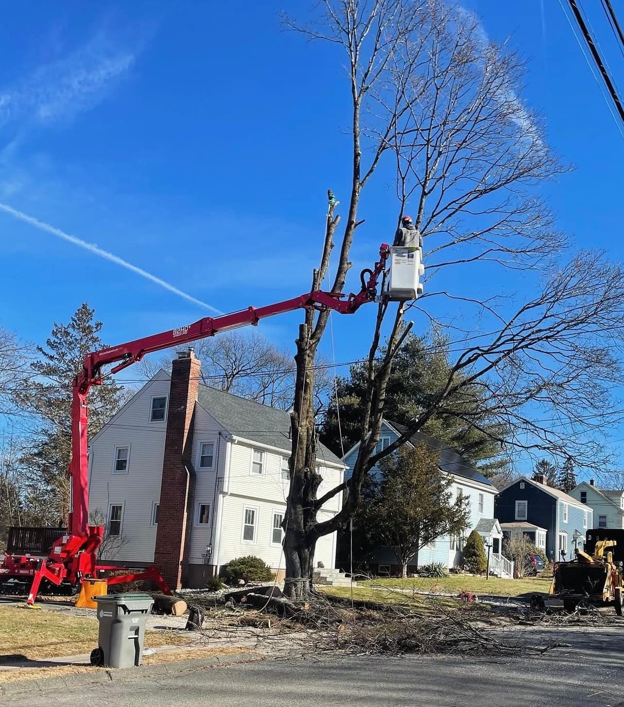 A climber in the spider lift bucket cutting the top of the same tree over the street