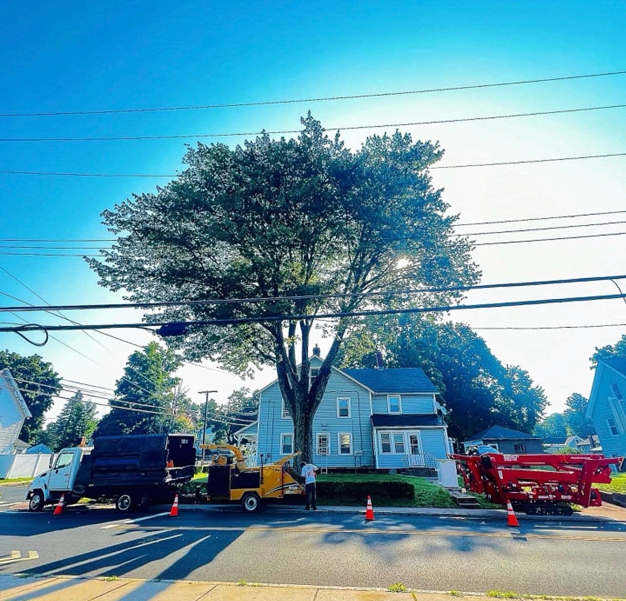 JLO chip truck, chipper and trailered spider lift lined up on a street in front of a large tree