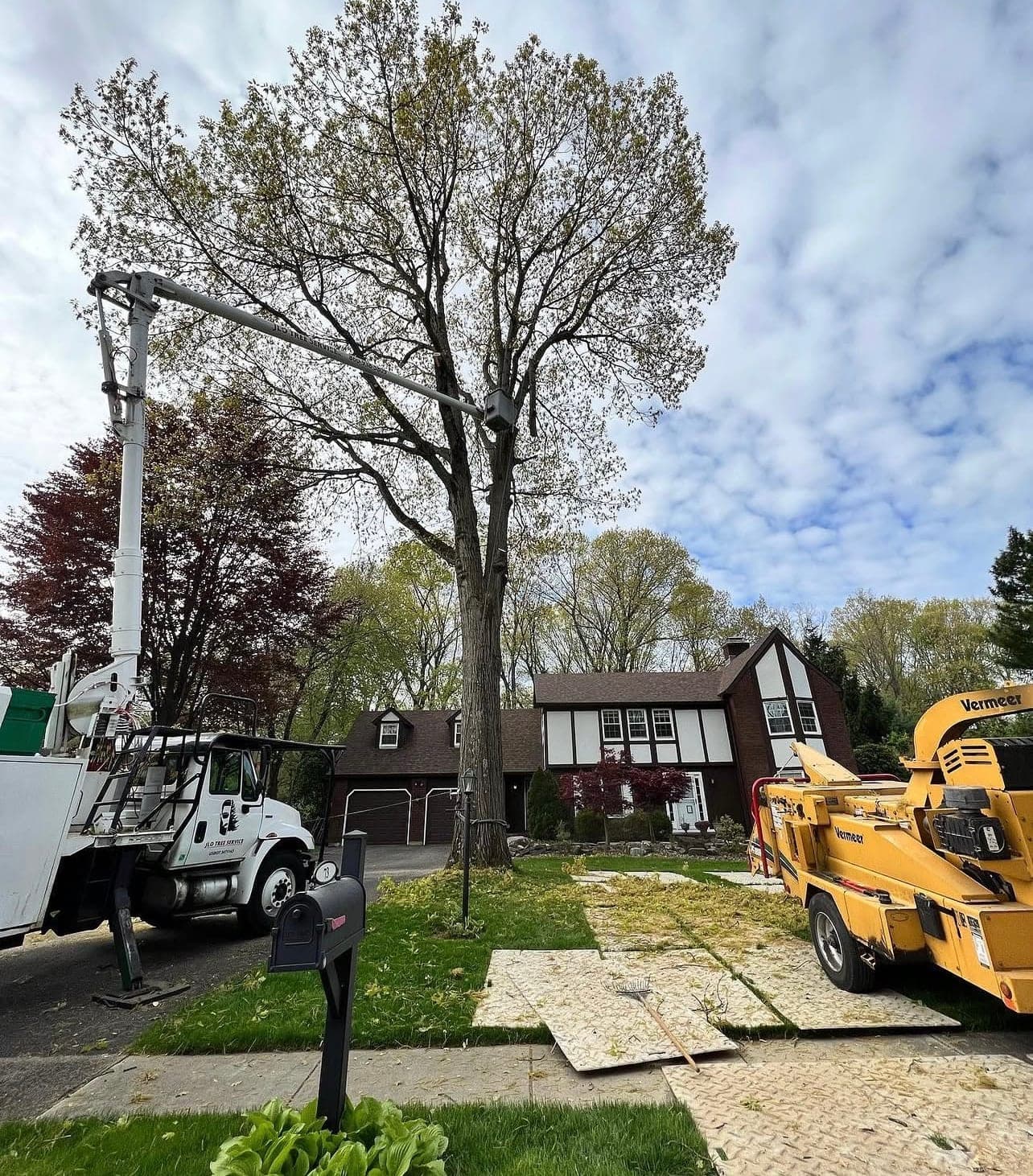 Bucket truck and chipper set up beside a large tree, with plywood protecting the lawn