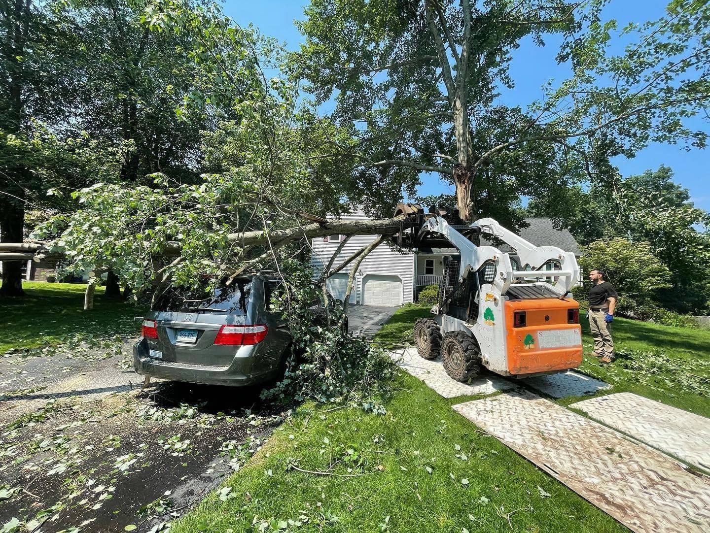 Tree fallen onto a parked car, with a JLO skid steer clearing debris