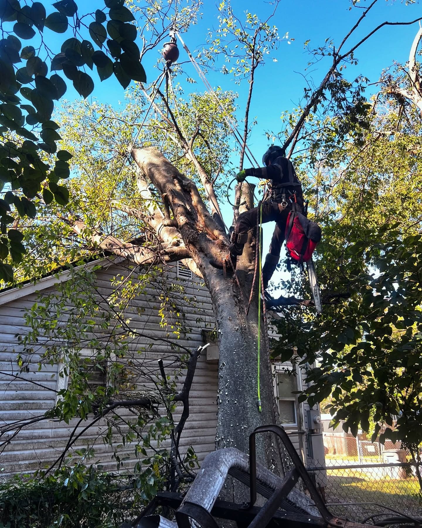 JLO climber cutting a storm-damaged tree beside a house