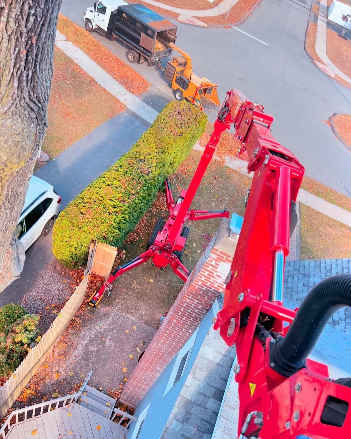 Tracked spider lift set up for a backyard tree job without damaging the lawn